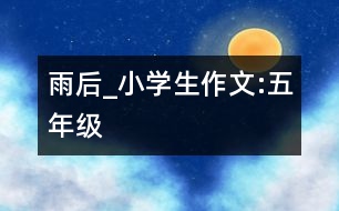 雨后_小學生作文:五年級