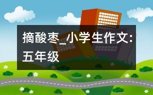 摘酸棗_小學(xué)生作文:五年級