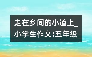 走在鄉(xiāng)間的小道上_小學生作文:五年級