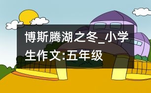 博斯騰湖之冬_小學(xué)生作文:五年級