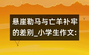 懸崖勒馬與亡羊補牢的差別_小學生作文:五年級