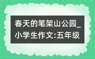 春天的筆架山公園_小學(xué)生作文:五年級(jí)