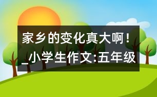 家鄉(xiāng)的變化真大??！_小學(xué)生作文:五年級