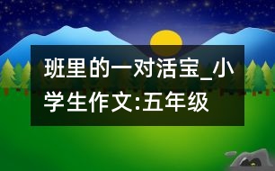 班里的一對“活寶”_小學(xué)生作文:五年級