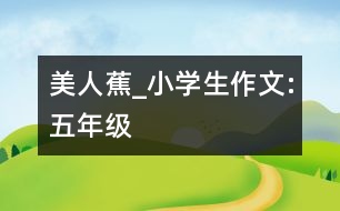 美人蕉_小學(xué)生作文:五年級