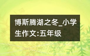 博斯騰湖之冬_小學(xué)生作文:五年級(jí)