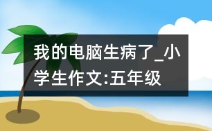 我的電腦生病了_小學(xué)生作文:五年級