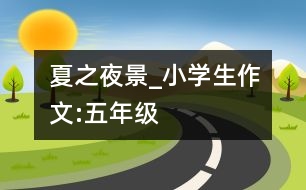 夏之夜景_小學(xué)生作文:五年級(jí)