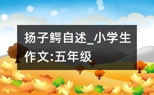 揚(yáng)子鱷自述_小學(xué)生作文:五年級(jí)