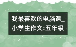 我最喜歡的電腦課_小學(xué)生作文:五年級(jí)