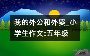 我的外公和外婆_小學生作文:五年級