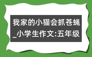 我家的小貓會抓蒼蠅_小學(xué)生作文:五年級