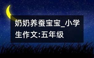 奶奶養(yǎng)蠶寶寶_小學(xué)生作文:五年級