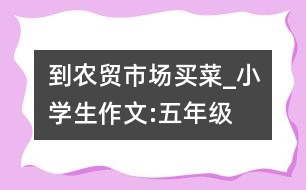 到農(nóng)貿(mào)市場(chǎng)買菜_小學(xué)生作文:五年級(jí)