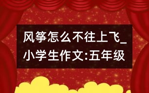 風箏怎么不往上飛_小學生作文:五年級