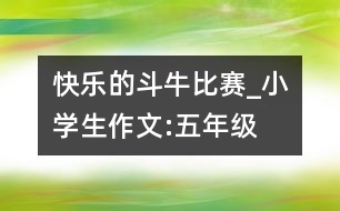 快樂的“斗?！北荣恄小學生作文:五年級