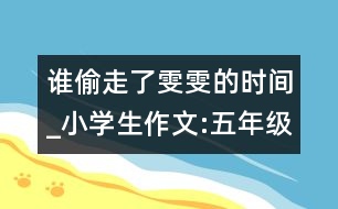 誰偷走了雯雯的時間_小學生作文:五年級