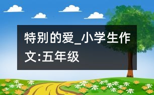 特別的愛_小學(xué)生作文:五年級