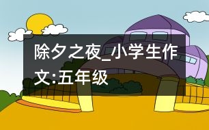 除夕之夜_小學生作文:五年級