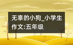 無辜的小狗_小學生作文:五年級