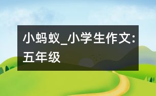 小螞蟻_小學(xué)生作文:五年級(jí)