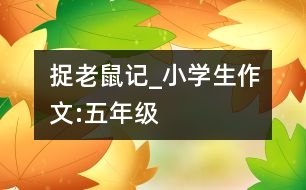 捉老鼠記_小學(xué)生作文:五年級