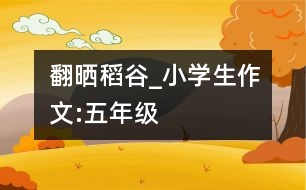 翻曬稻谷_小學(xué)生作文:五年級