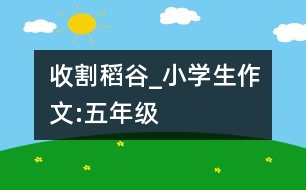 收割稻谷_小學(xué)生作文:五年級