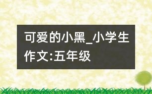 可愛的小黑_小學(xué)生作文:五年級(jí)