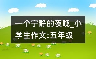 一個寧靜的夜晚_小學(xué)生作文:五年級