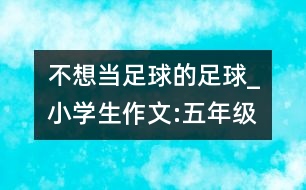 不想當(dāng)足球的足球_小學(xué)生作文:五年級