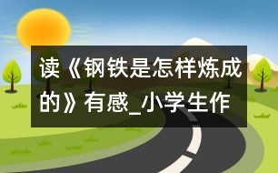 讀《鋼鐵是怎樣煉成的》有感_小學(xué)生作文:五年級