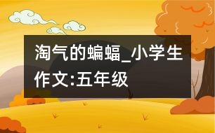 淘氣的蝙蝠_小學(xué)生作文:五年級