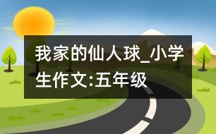 我家的仙人球_小學(xué)生作文:五年級