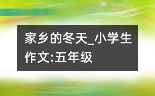 家鄉(xiāng)的冬天_小學(xué)生作文:五年級