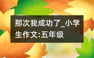 那次我成功了_小學(xué)生作文:五年級