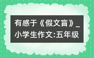 有感于《假文盲》_小學(xué)生作文:五年級(jí)