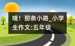 哦！那條小路_小學(xué)生作文:五年級(jí)