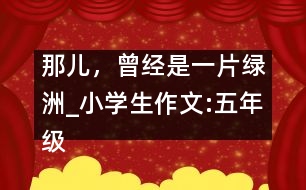 那兒，曾經(jīng)是一片綠洲_小學(xué)生作文:五年級