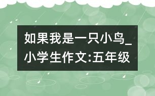 如果我是一只小鳥_小學(xué)生作文:五年級