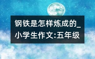 鋼鐵是怎樣煉成的_小學(xué)生作文:五年級