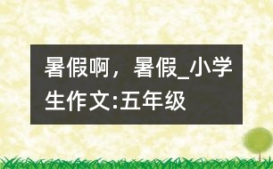 暑假啊，暑假_小學(xué)生作文:五年級(jí)