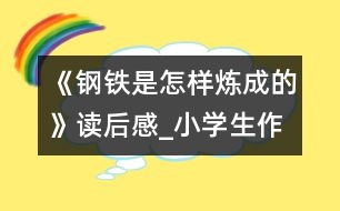 《鋼鐵是怎樣煉成的》讀后感_小學生作文:五年級