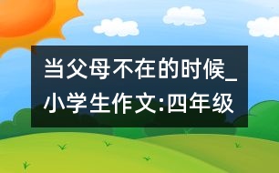 當(dāng)父母不在的時候_小學(xué)生作文:四年級