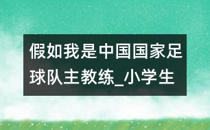 假如我是中國國家足球隊主教練_小學生作文:四年級