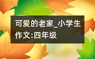 可愛的老家_小學(xué)生作文:四年級