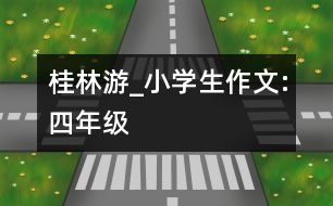 桂林游_小學(xué)生作文:四年級(jí)