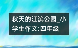 秋天的江濱公園_小學生作文:四年級