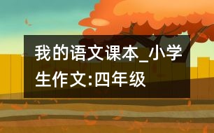 我的語(yǔ)文課本_小學(xué)生作文:四年級(jí)