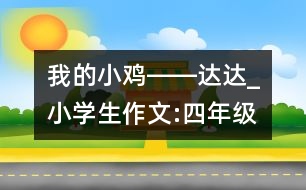 我的小雞――達(dá)達(dá)_小學(xué)生作文:四年級